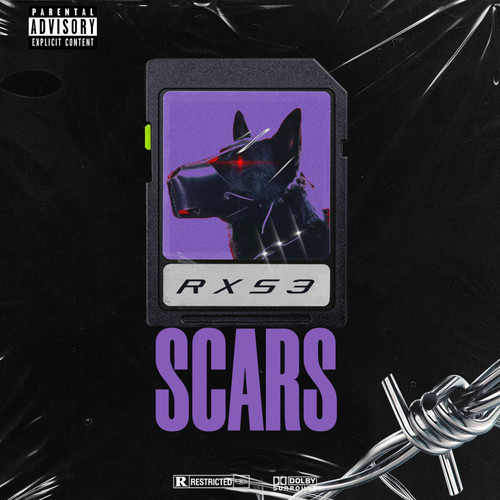 Scars (Explicit)