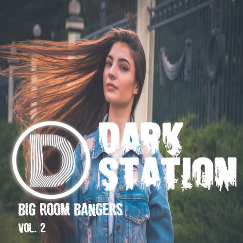 Big Room Bangers, Vol. 2