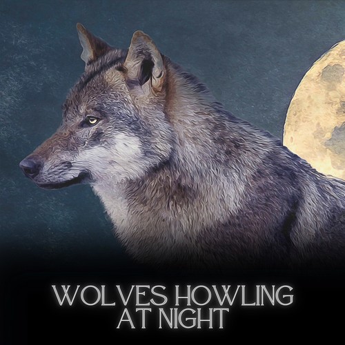 Wolves Howling at Night