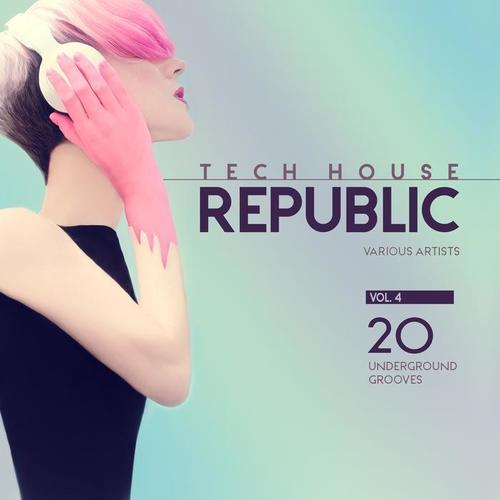 Tech House Republic (20 Underground Grooves) , Vol. 4