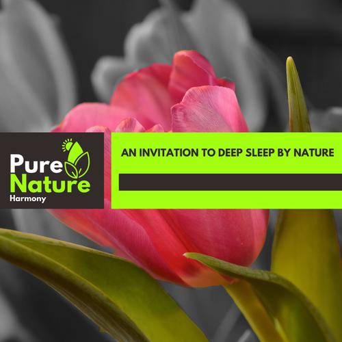 An Invitation to Deep Sleep By Nature