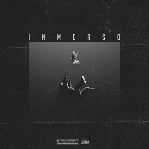 INMERSO