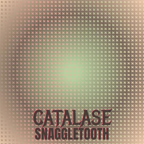 Catalase Snaggletooth