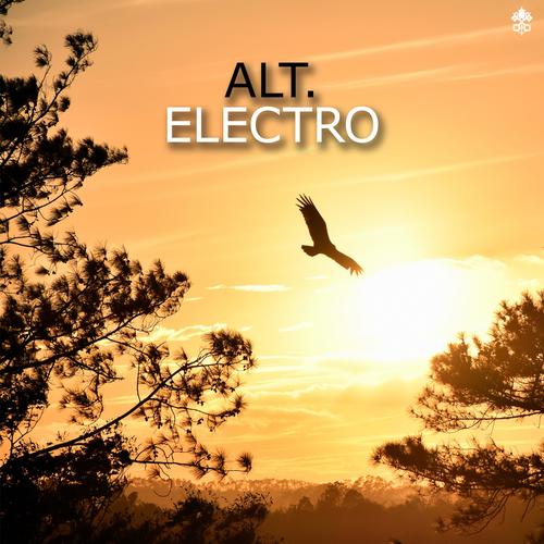 Alt. Electro