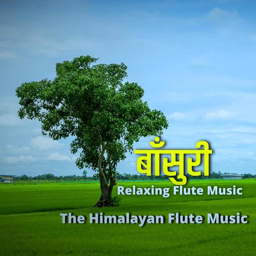 Bamboo Flute Music , Himalayan Flute Music , Morning Music ,Relaxing Flute Music, बाँसुरी #114