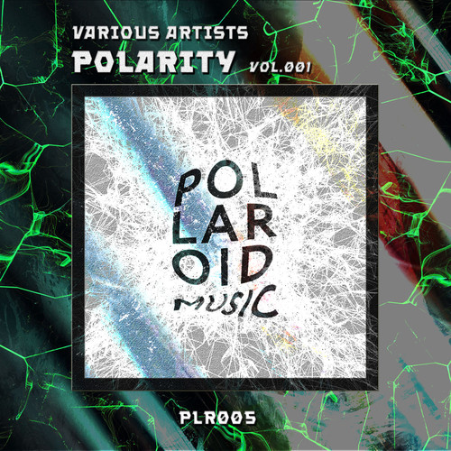 Polarity, vol. 005