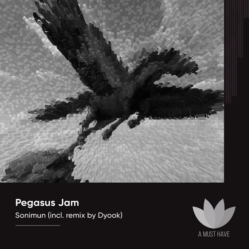 Pegasus Jam (Dyook Remix)