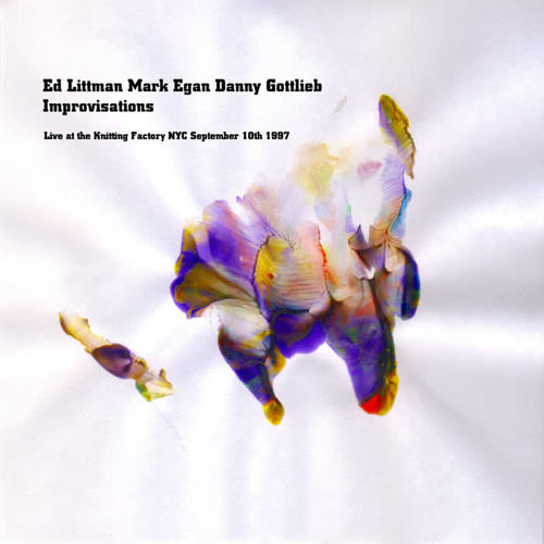 Ed Littman, Mark Egan, Danny Gottlieb- Improvisations