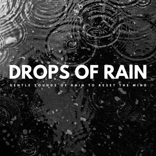 Drops Of Rain: Gentle Sounds Of Rain To Reset The Mind