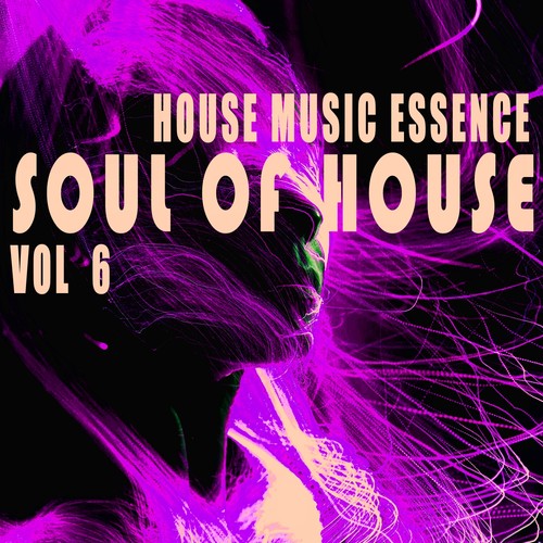 Soul of House, Vol. 6