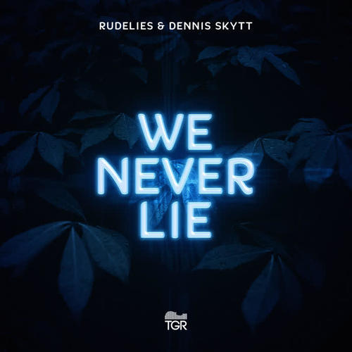 We Never Lie