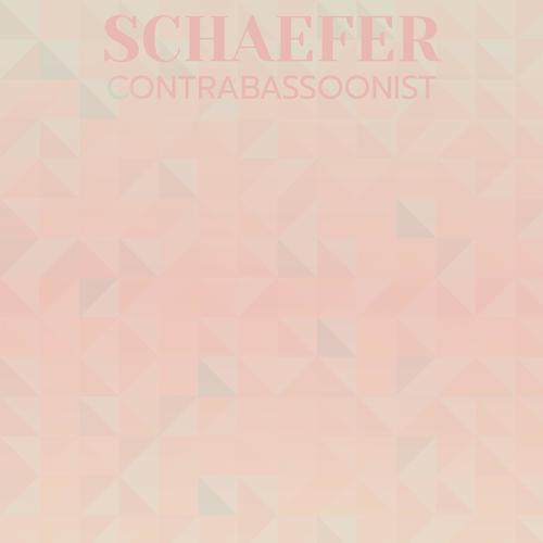 Schaefer Contrabassoonist