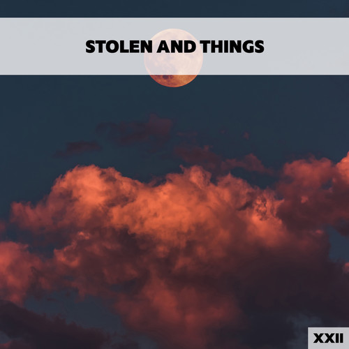 Stolen And Things XXII