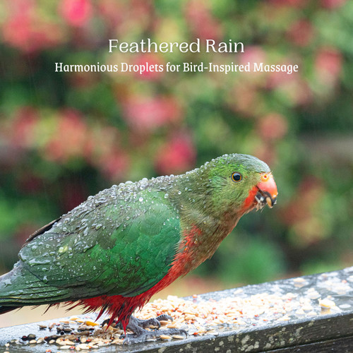 Feathered Rain: Harmonious Droplets for Bird-Inspired Massage