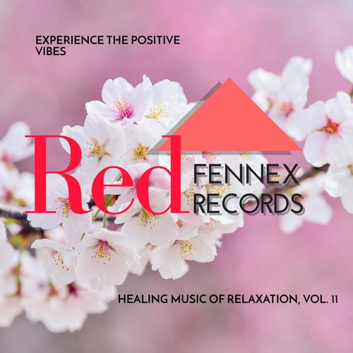 Experience The Positive Vibes - Healing Music Of Relaxation, Vol. 11