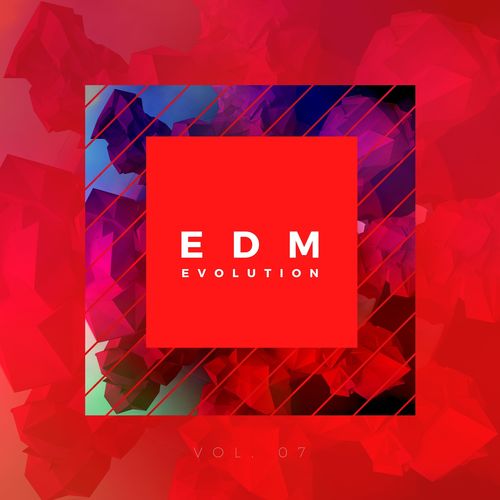 EDM Evolution - Vol. 07