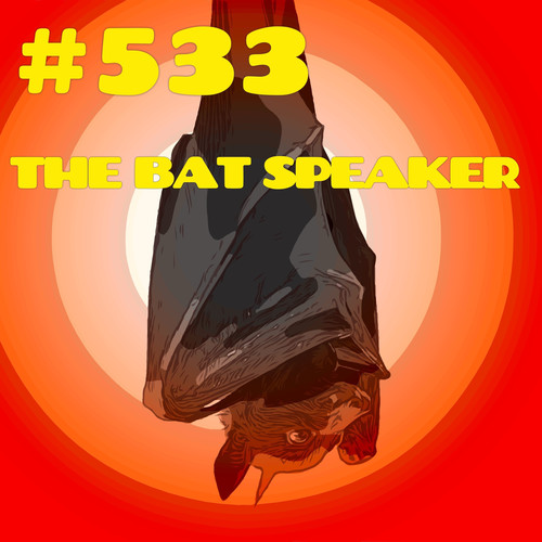 #533