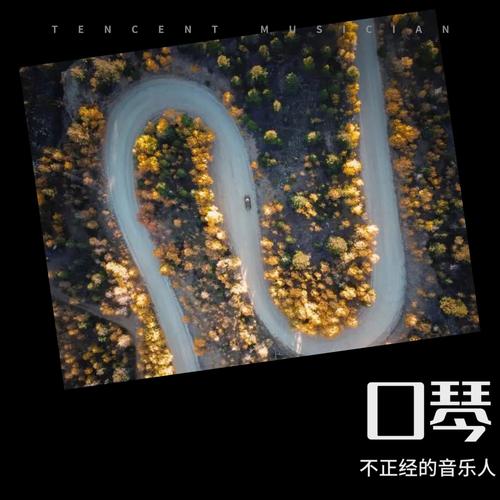 口琴纯音乐
