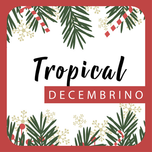 Tropical Decembrino
