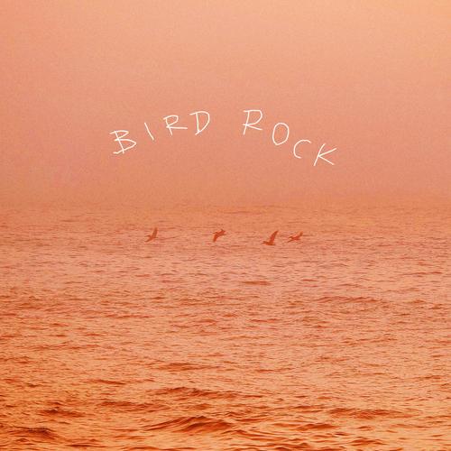 BIRDROCK
