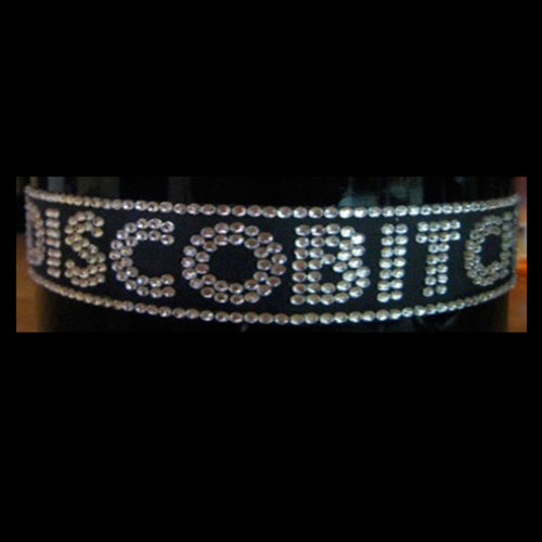 Disco Bitch EP