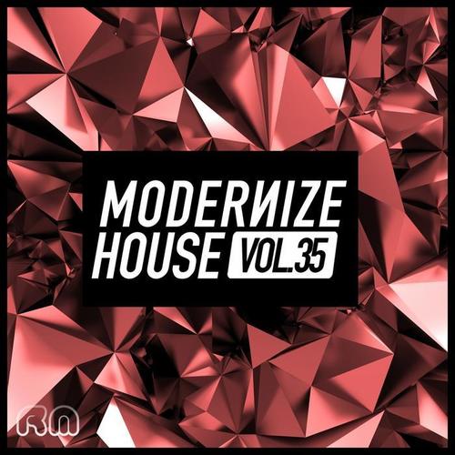 Modernize House, Vol. 35