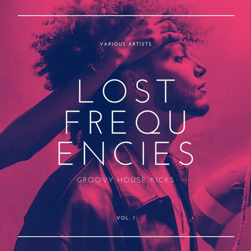 Lost Frequencies (Groovy House Kicks), Vol. 1