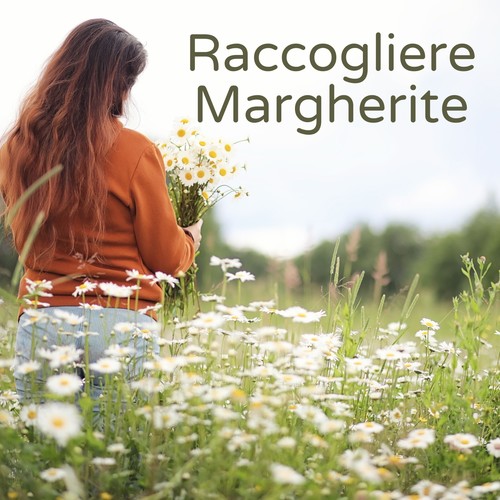 Raccogliere Margherite