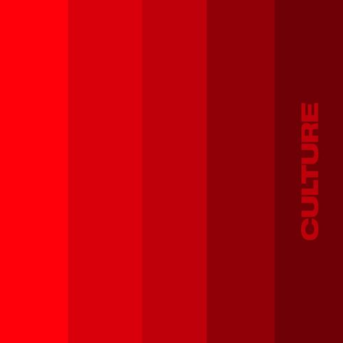 CULTURE (feat. Fils FRT) [Explicit]