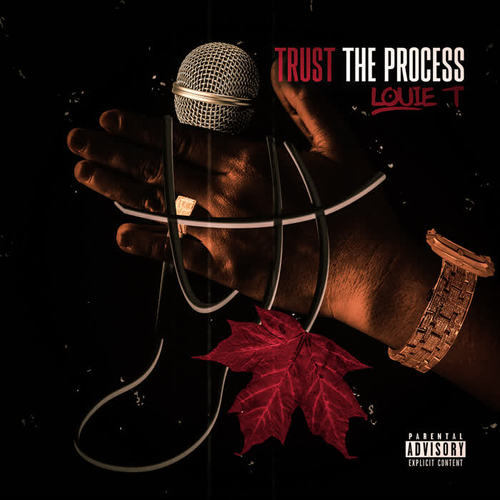 Trust the Process (Explicit)