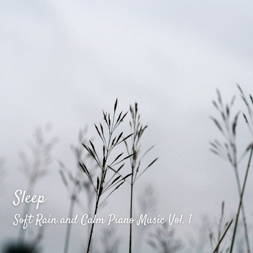 Sleep: Soft Rain and Calm Piano Music Vol. 1