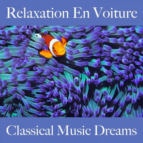 Relaxation En Voiture: Classical Music Dreams - La Meilleure Musique Pour Se Détendre