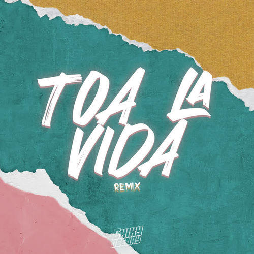 Toa La Vida (Remix)