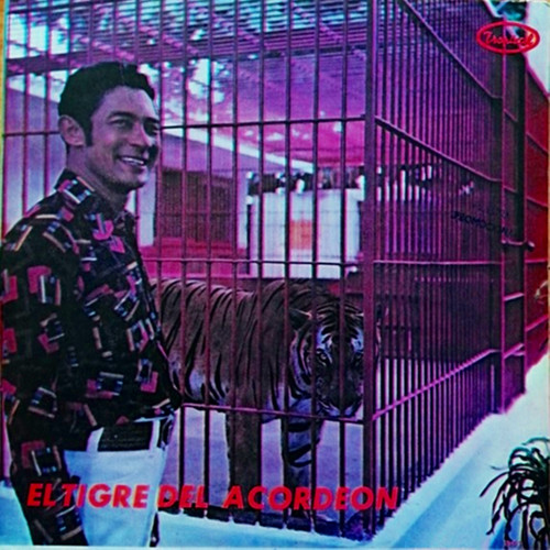 El tigre del acordeón