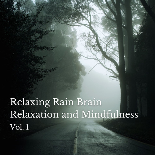 Relaxing Rain Brain Relaxation and Mindfulness Vol. 1 - 1 Hour