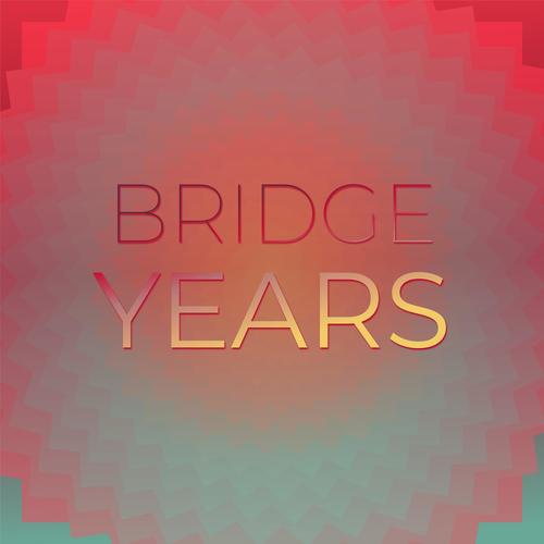 Bridge Years