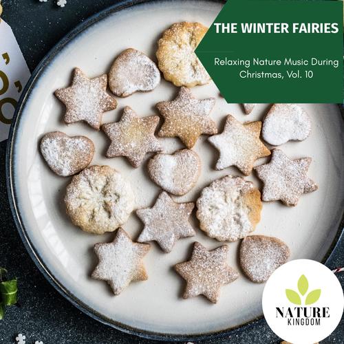 The Snowy Night - Relax During Holidays with Nature Music, Vol. 10