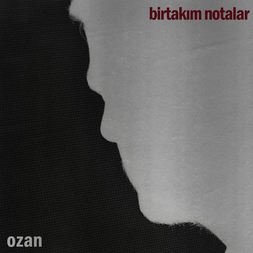 birtakım notalar