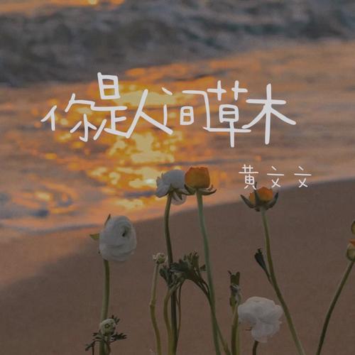 你是人间草木（DJ版）