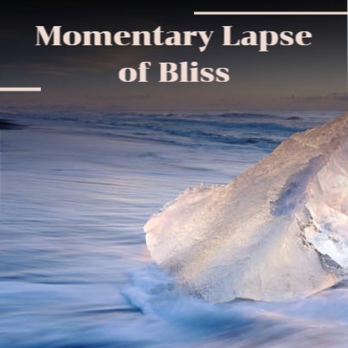 Momentary Lapse of Bliss