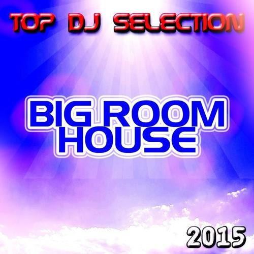 Top DJ Selection Big Room House 2015 (20 Future Dance Hits Ibiza & Miami from Disco to Disco)