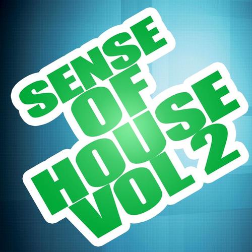 Sense Of House Vol 2