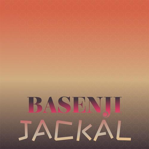 Basenji Jackal