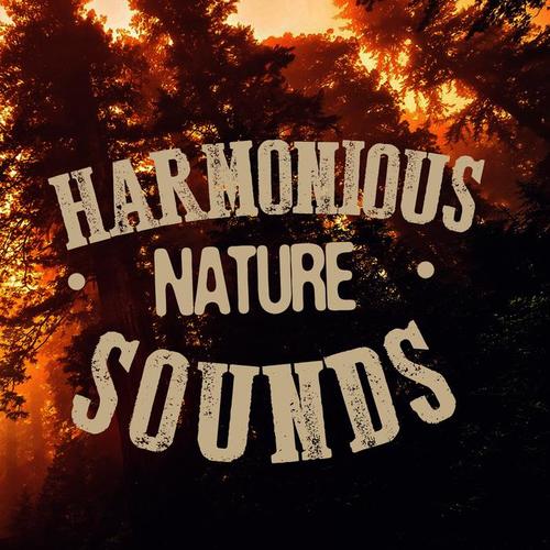 Harmonious Nature Sounds