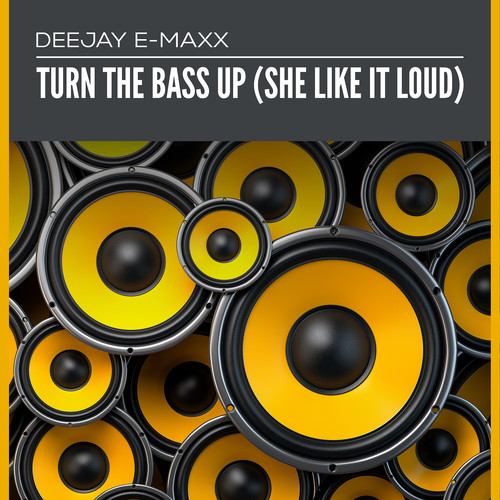 Turn the Bass up (She Like It Loud) [Explicit]