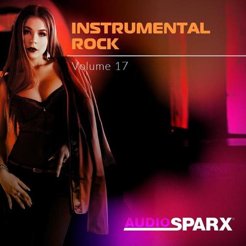 Instrumental Rock Volume 17