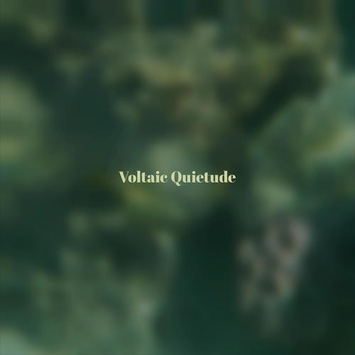 Voltaic Quietude