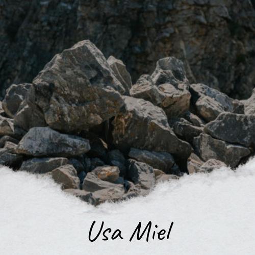 Usa Miel