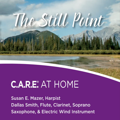 The Still Point: C.A.R.E. At Home