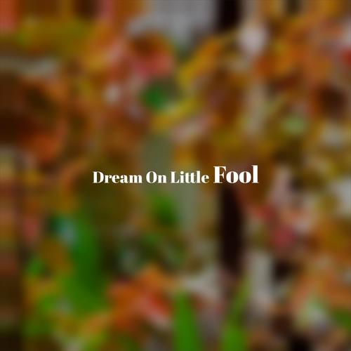 Dream On Little Fool